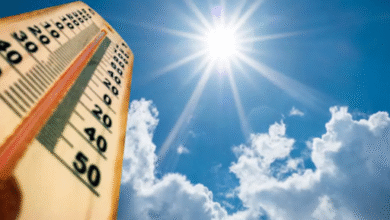 50 degrees c