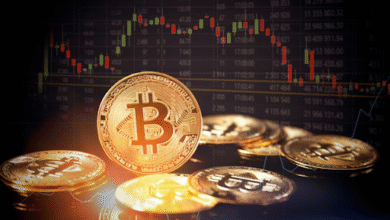 cryptogonow