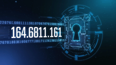 164.68111.161